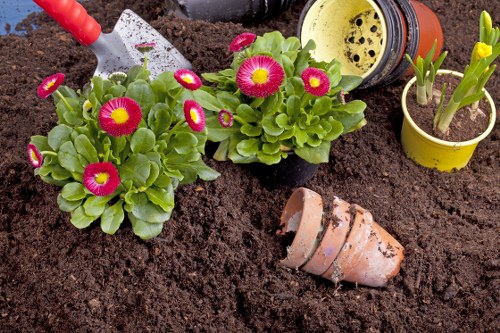 Landscapers in Merton designing a garden at the start of the article