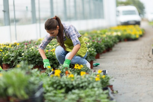 Landscapers Merton team sorting garden waste for eco-friendly disposal