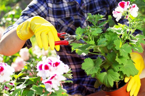 Local lawn mowing service for a residential garden in Merton