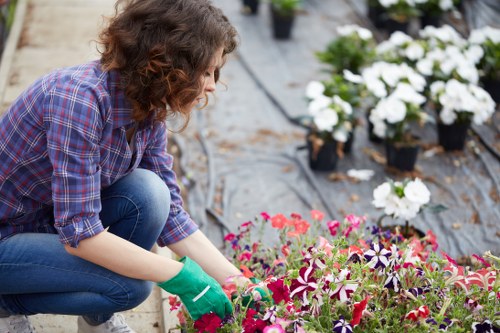 Landscape team preparing planting beds in a Merton outdoor space
