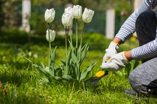 Landscapers Merton team shaping a front garden with careful planning