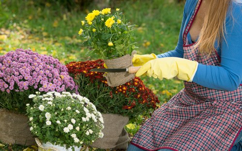 Professionally insured rubbish company working safely on a garden job