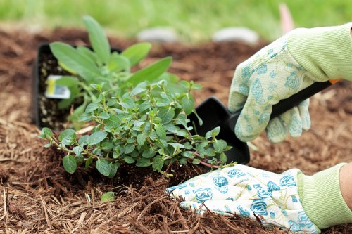 Support for accessibility requests and inclusive landscaping content in Merton