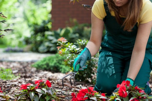 Improving landscaping service standards through complaint review