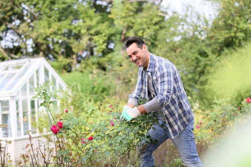 Professional garden clearance service restoring a Merton garden