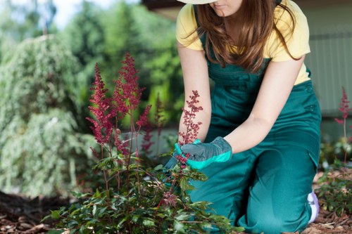 Responsible rubbish collection during landscaping services