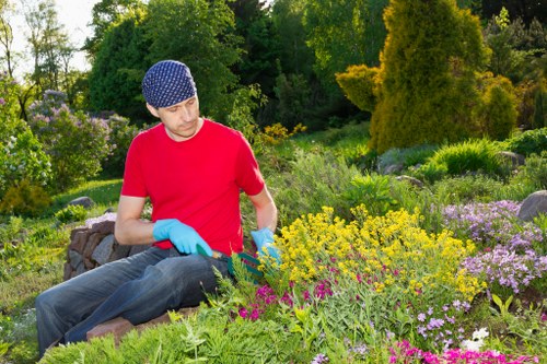 Healthy green lawn in Merton with neat edging