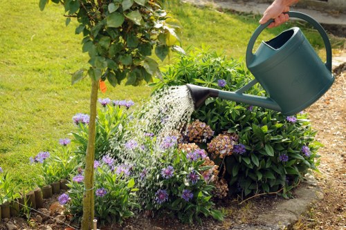 Professional landscaping in Merton showing balanced hard and soft features