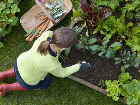 Seasonal lawn care work in a Merton garden