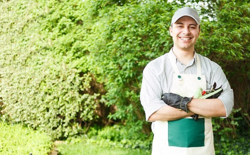 Planning a landscaping project for a Merton home garden