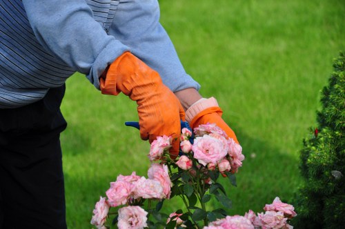 Eco-friendly landscaping ideas for a Merton garden