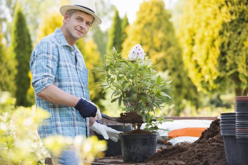Outdoor site safety checks before landscaping and rubbish clearance