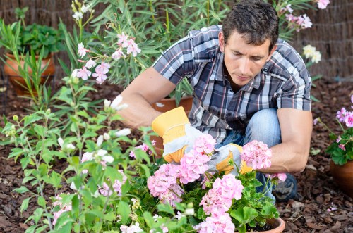 Mowing and feeding turf for lawn care in Merton